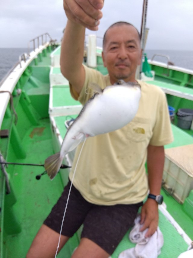 フグ(ショウサイフグ)