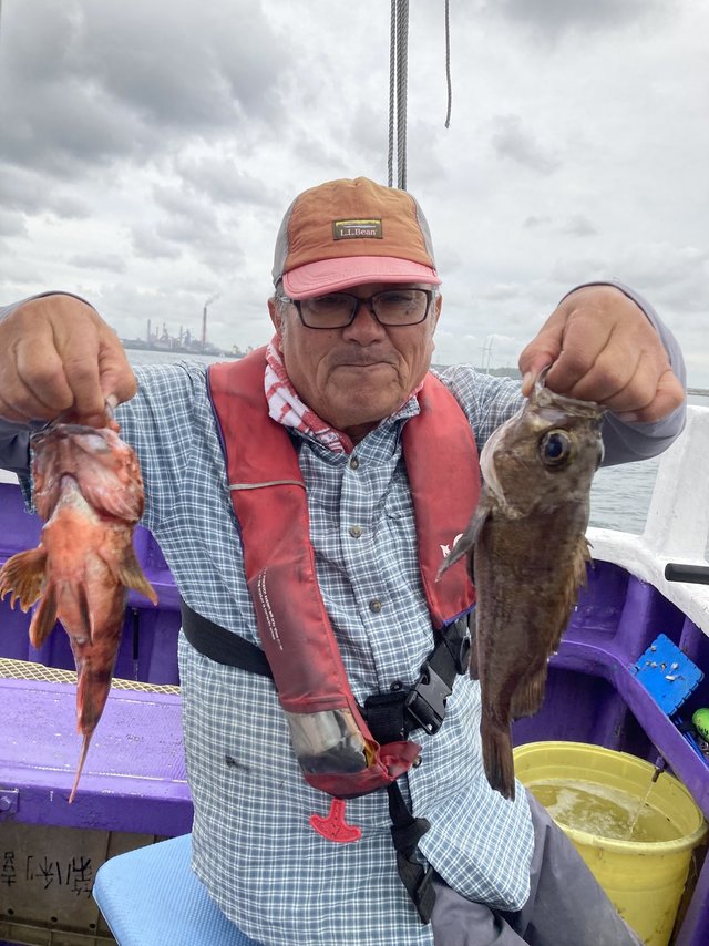 カサゴ・メバル