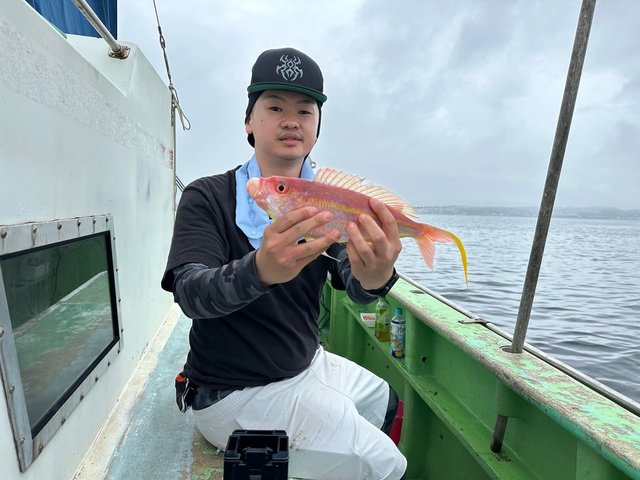 イトヨリ(イトヨリダイ)