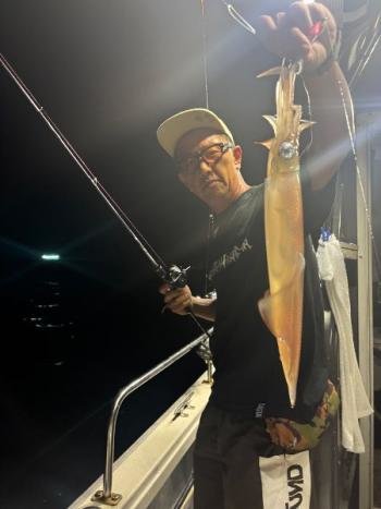 マイカ(ケンサキイカ)