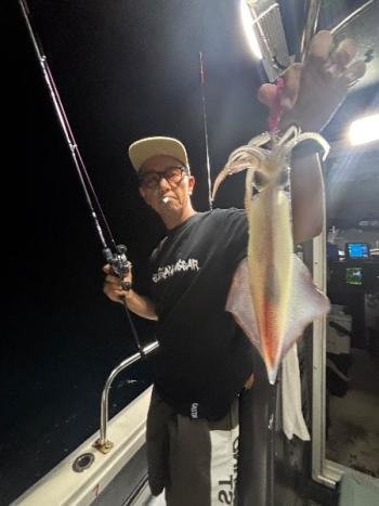 マイカ(ケンサキイカ)