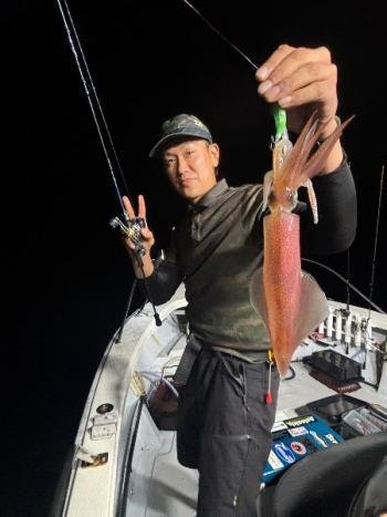 マイカ(ケンサキイカ)