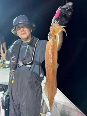 マイカ(ケンサキイカ)