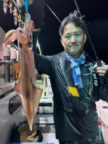 マイカ(ケンサキイカ)