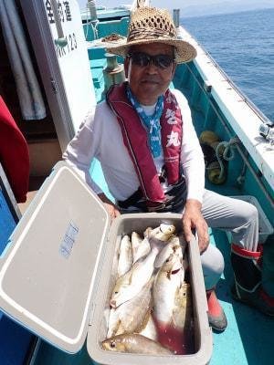 イサギ(イサキ)