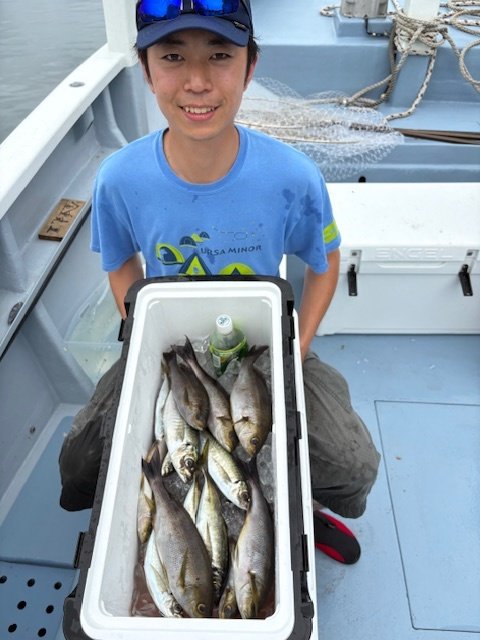 アジ(マアジ)・イサキ