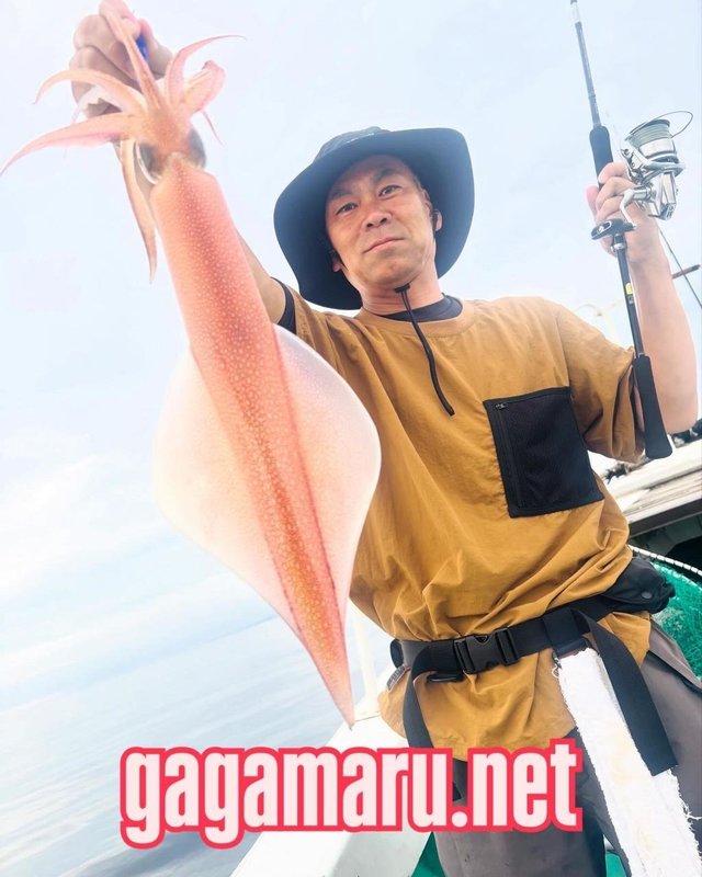 イカ(ケンサキイカ)