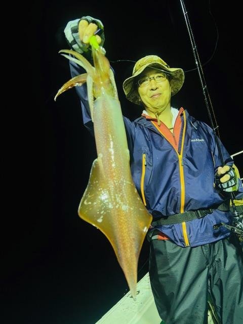 イカ(ケンサキイカ)