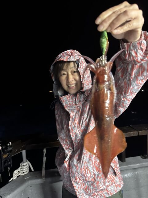 イカ(ヤリイカ)