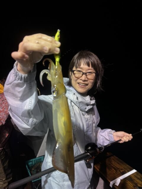 イカ(ヤリイカ)