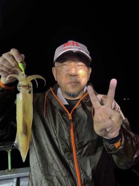 イカ(ヤリイカ)