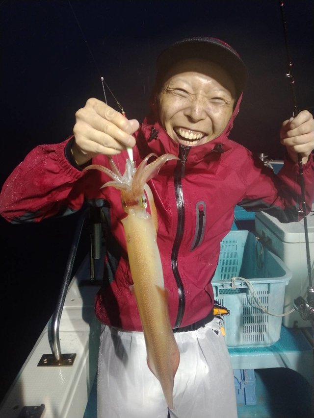 イカ(ヤリイカ)