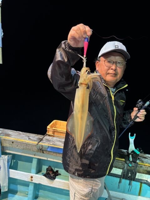 マイカ(ケンサキイカ)