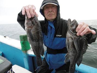 ソイ(クロソイ)