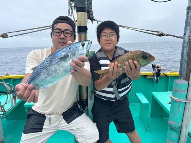 スマガツオ(スマ)