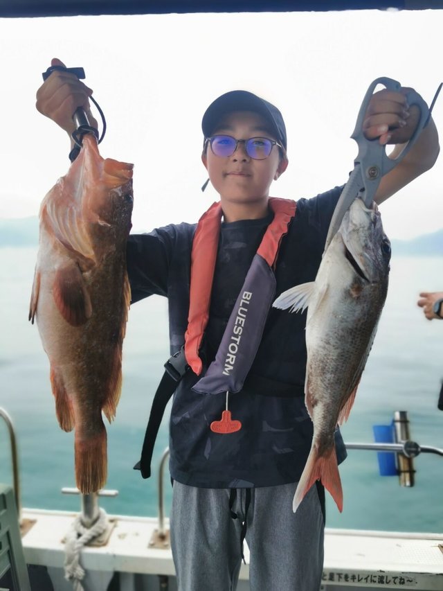 マダイ・キジハタ