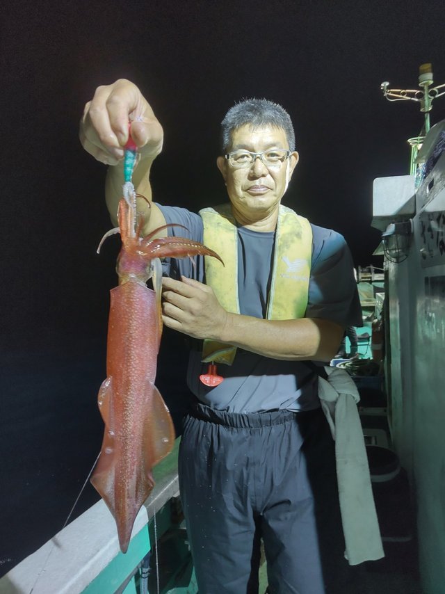 シロイカ(ケンサキイカ)