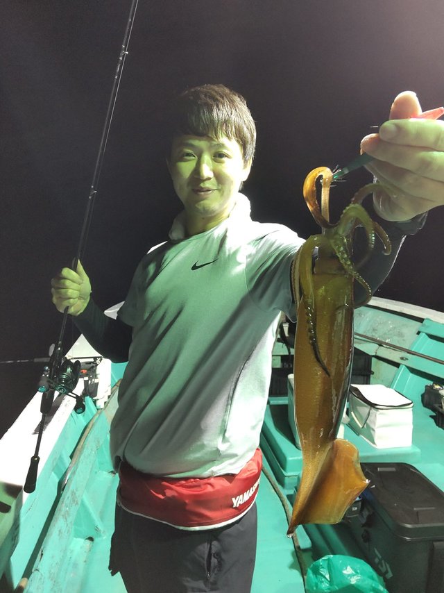 スルメ(スルメイカ)