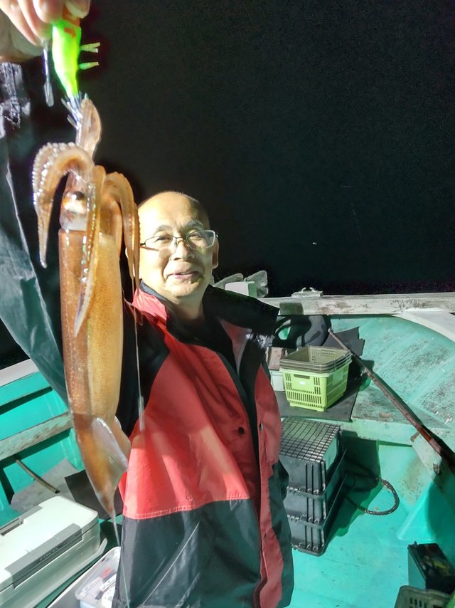 スルメ(スルメイカ)