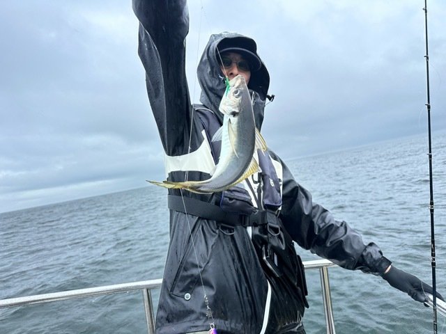 カマス(アカカマス)