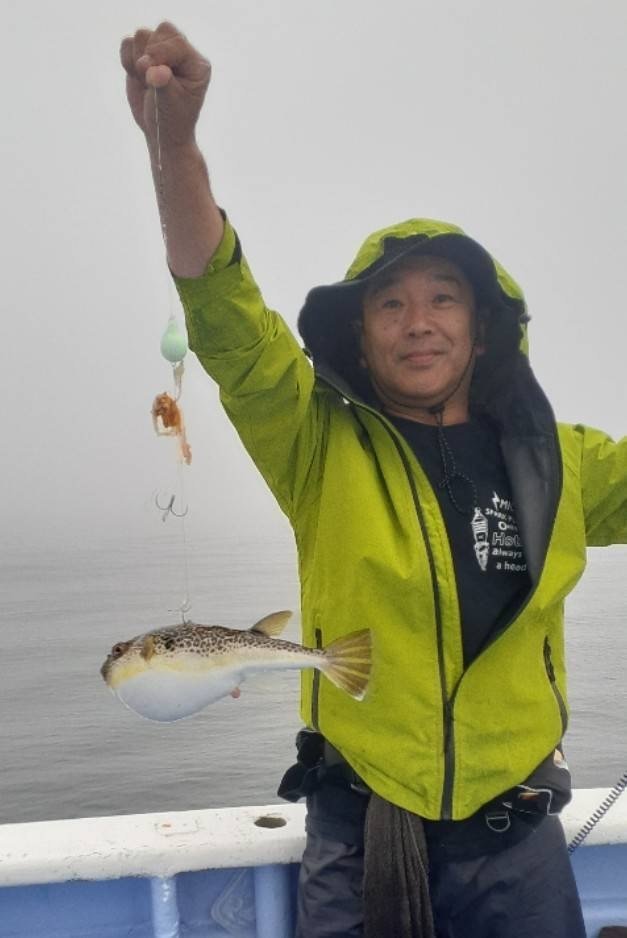 ショウサイフグ