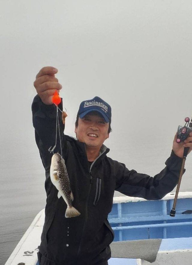 ショウサイフグ