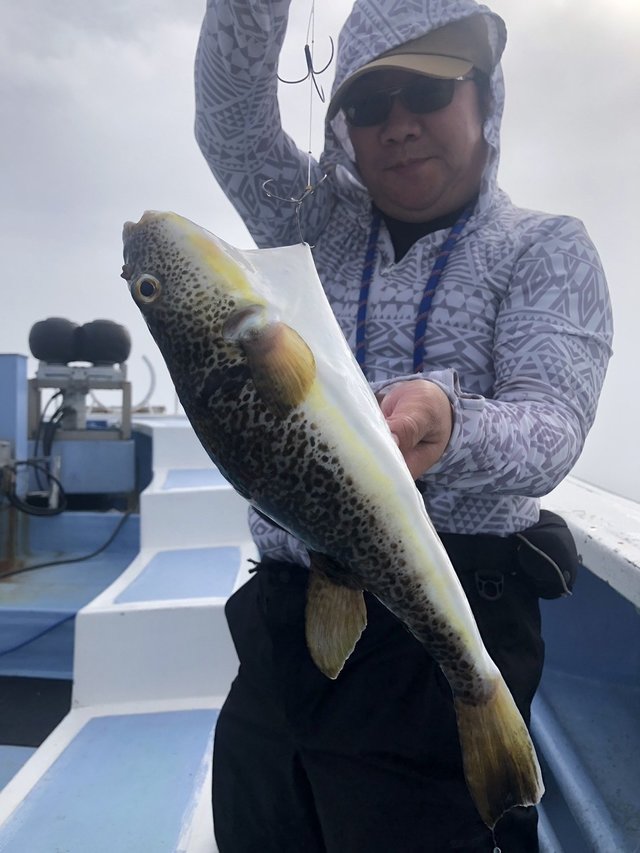 ショウサイフグ