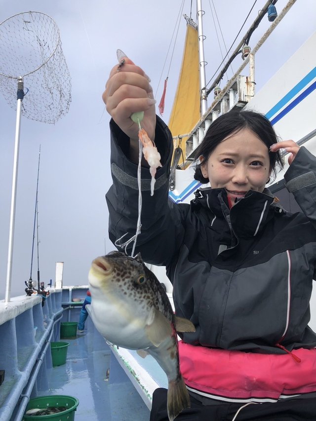 ショウサイフグ