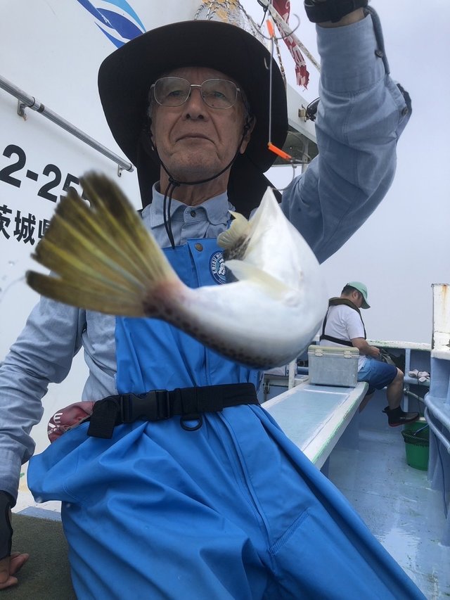 ショウサイフグ