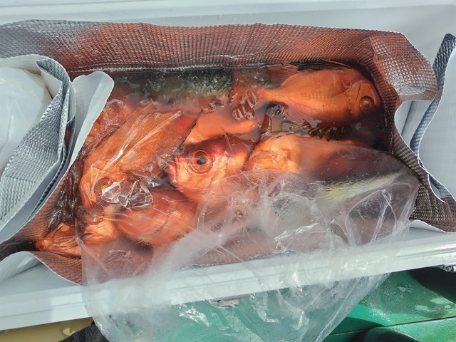 チカメキントキ