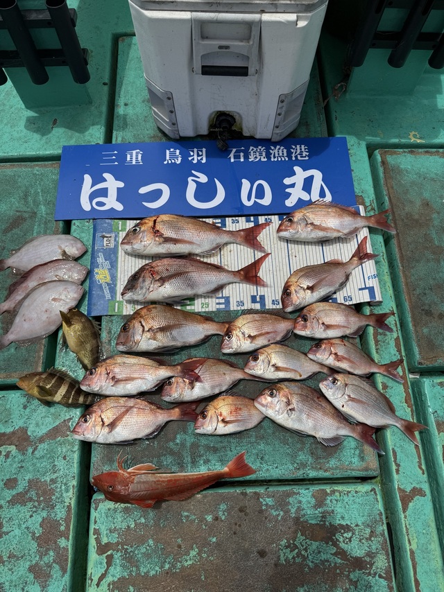 タイ(マダイ)・ホウボウ・ガンゾウヒラメ(ガンゾウビラメ)