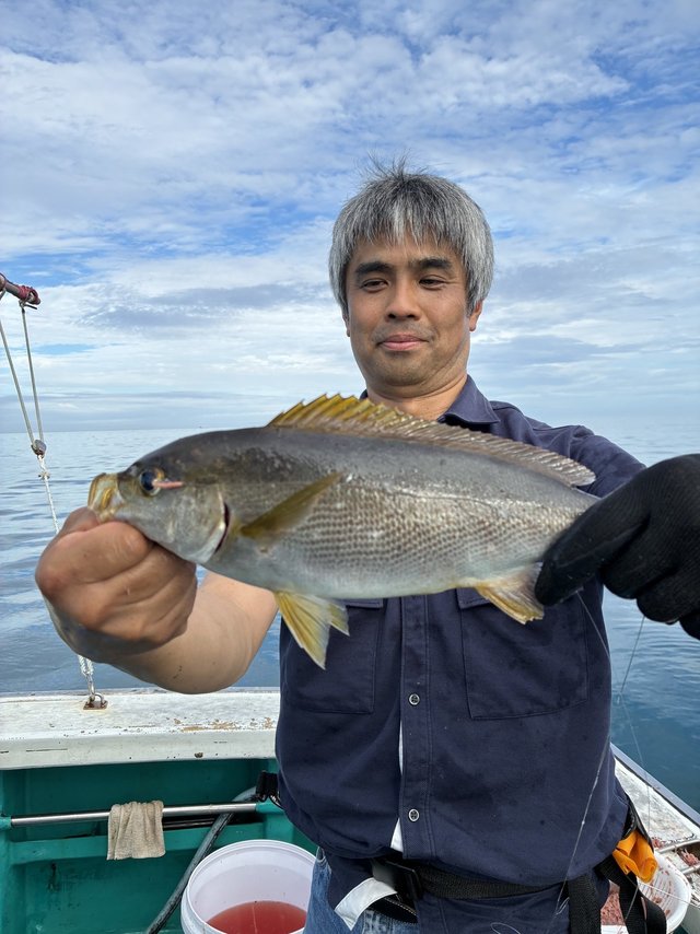 イサギ(イサキ)