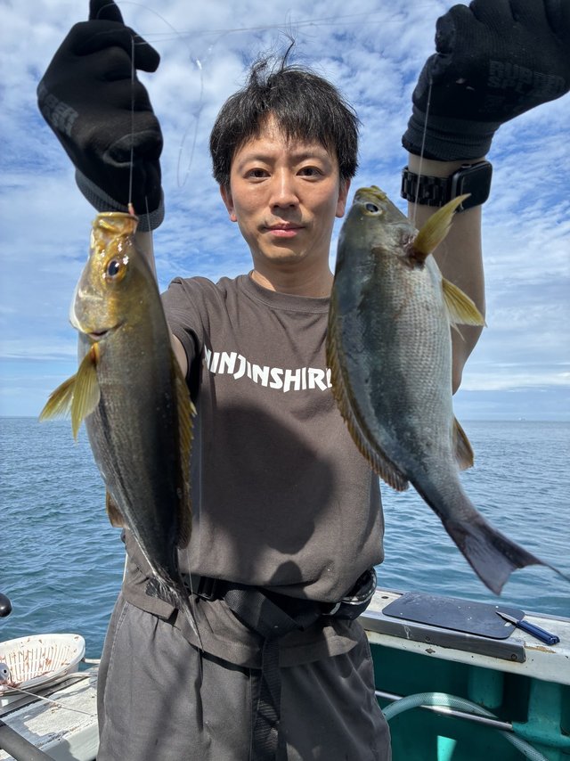 イサギ(イサキ)