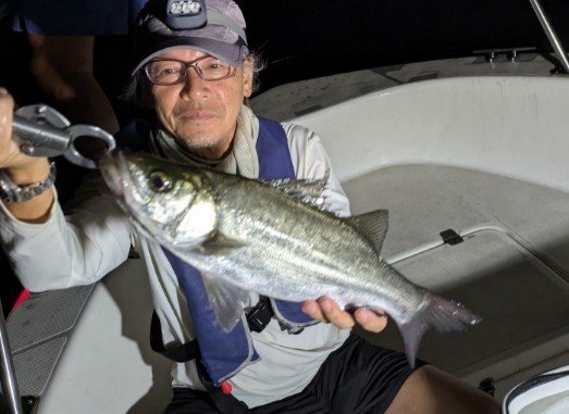 シーバス(スズキ)