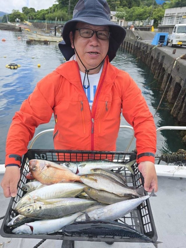 マダイ・アジ(マアジ)