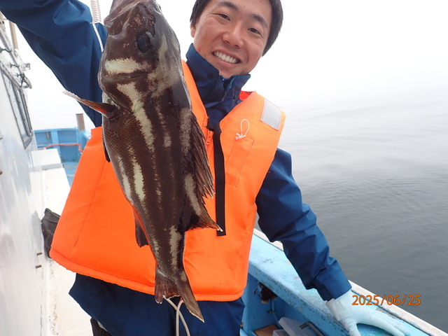 イシナギ(オオクチイシナギ)