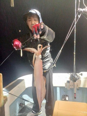 イカ(ケンサキイカ)