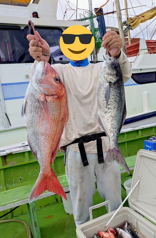 マダイ・メダイ