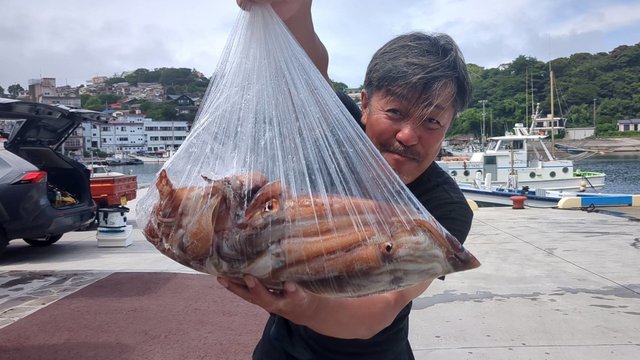 スルメ(スルメイカ)