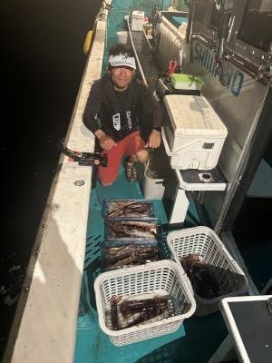 アカイカ(ケンサキイカ)