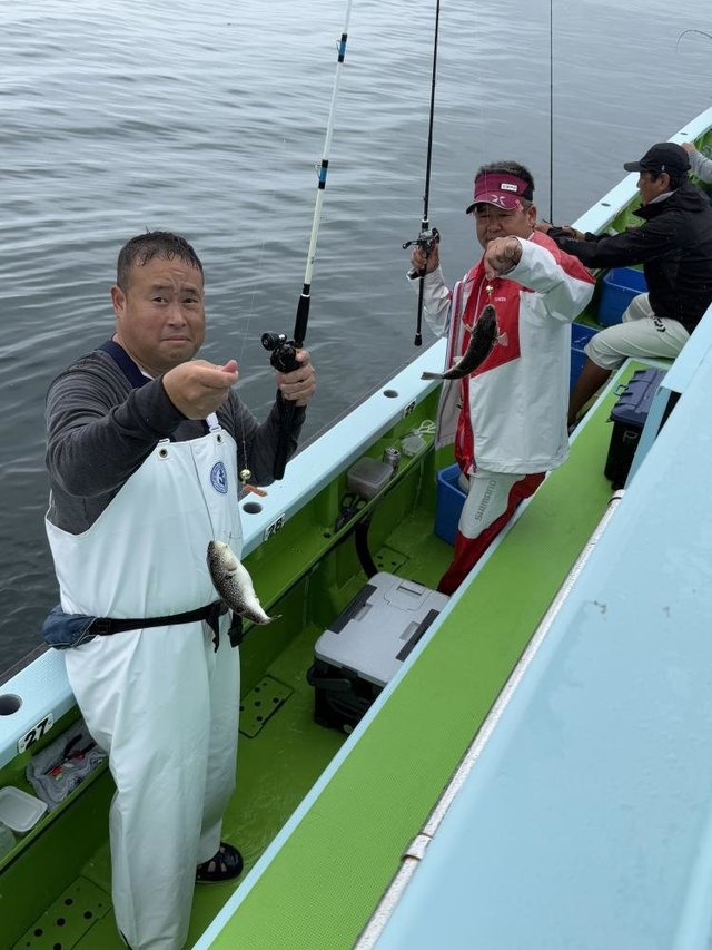 フグ(ショウサイフグ)