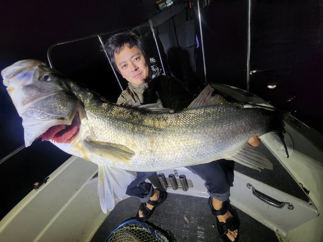 シーバス(スズキ)