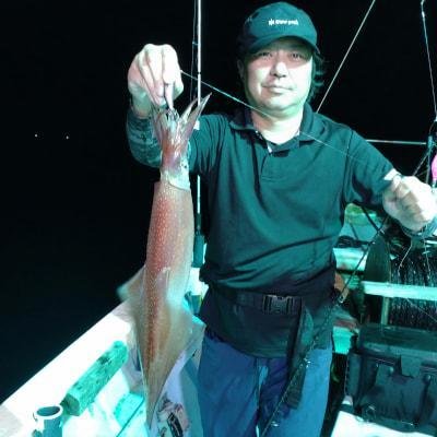 マイカ(ケンサキイカ)