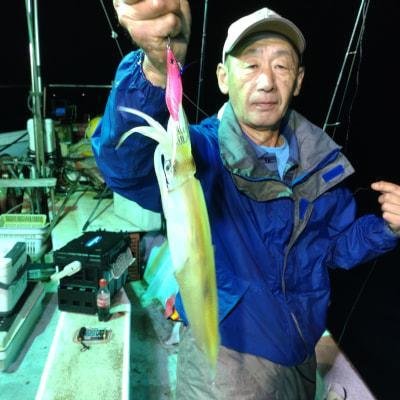 マイカ(ケンサキイカ)