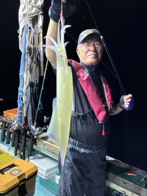 マイカ(ケンサキイカ)