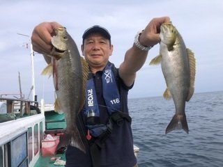 イサギ(イサキ)