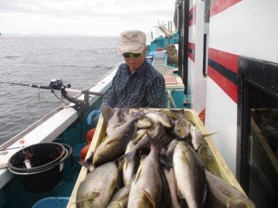 イサギ(イサキ)