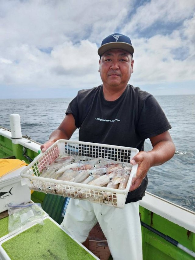 マルイカ(ケンサキイカ)