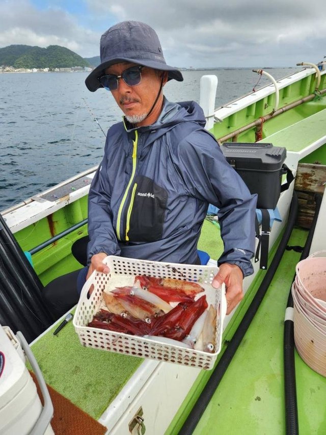 マルイカ(ケンサキイカ)