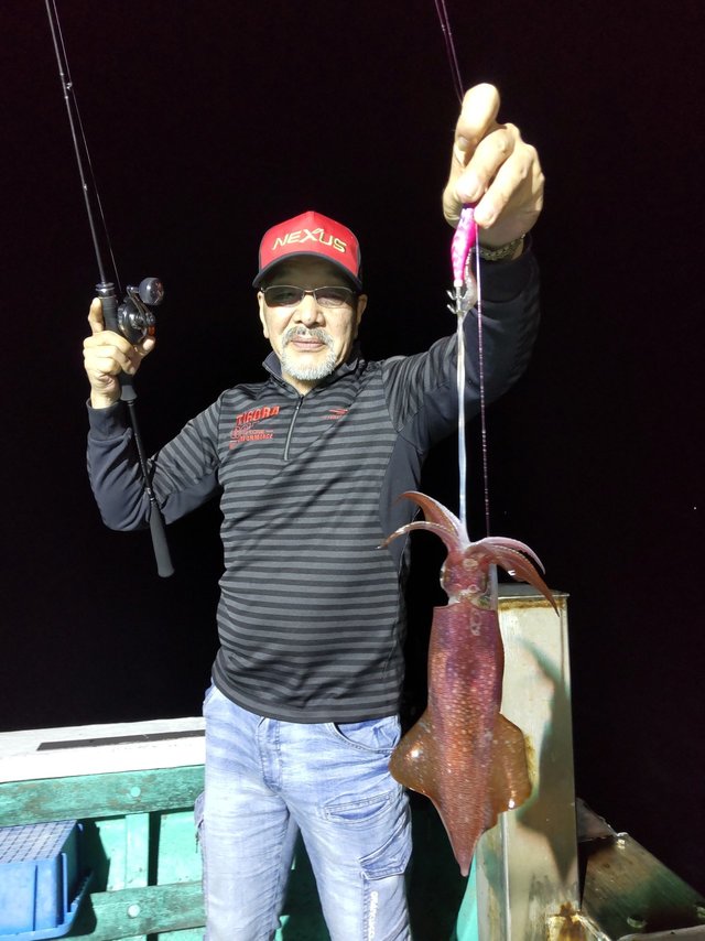 シロイカ(ケンサキイカ)